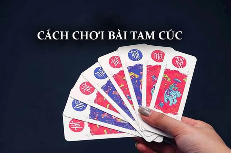 Hướng dẫn cách đánh bài tam cúc chắc thắng 100% 2 Cách đánh bài tam cúc là gì?